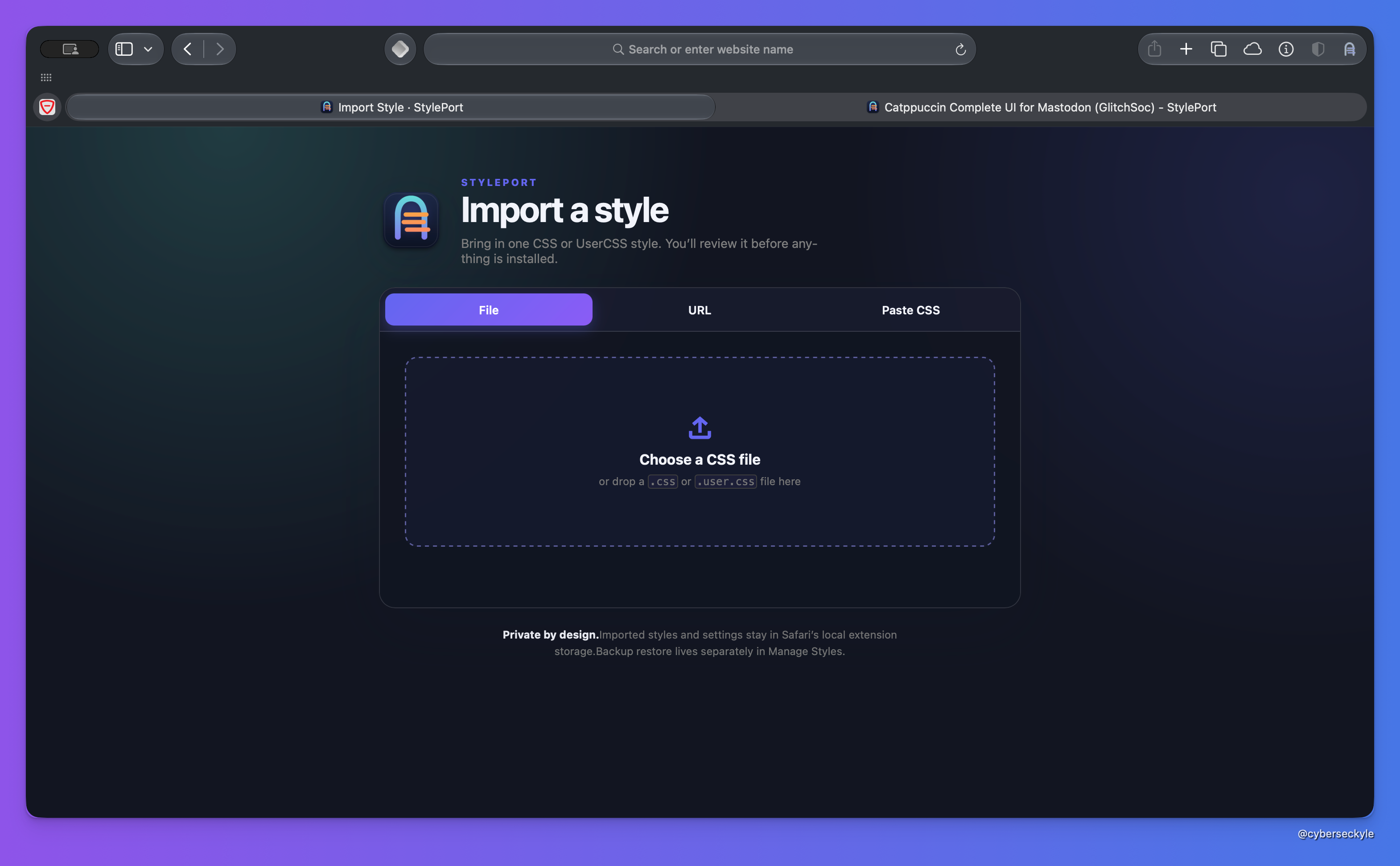 StylePort import screen in Safari with file, URL, and pasted CSS choices